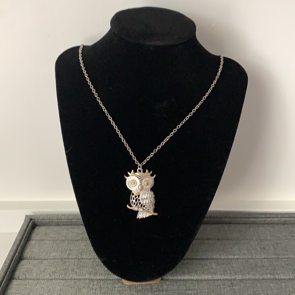 NWT. 🦉 owl long chain necklace